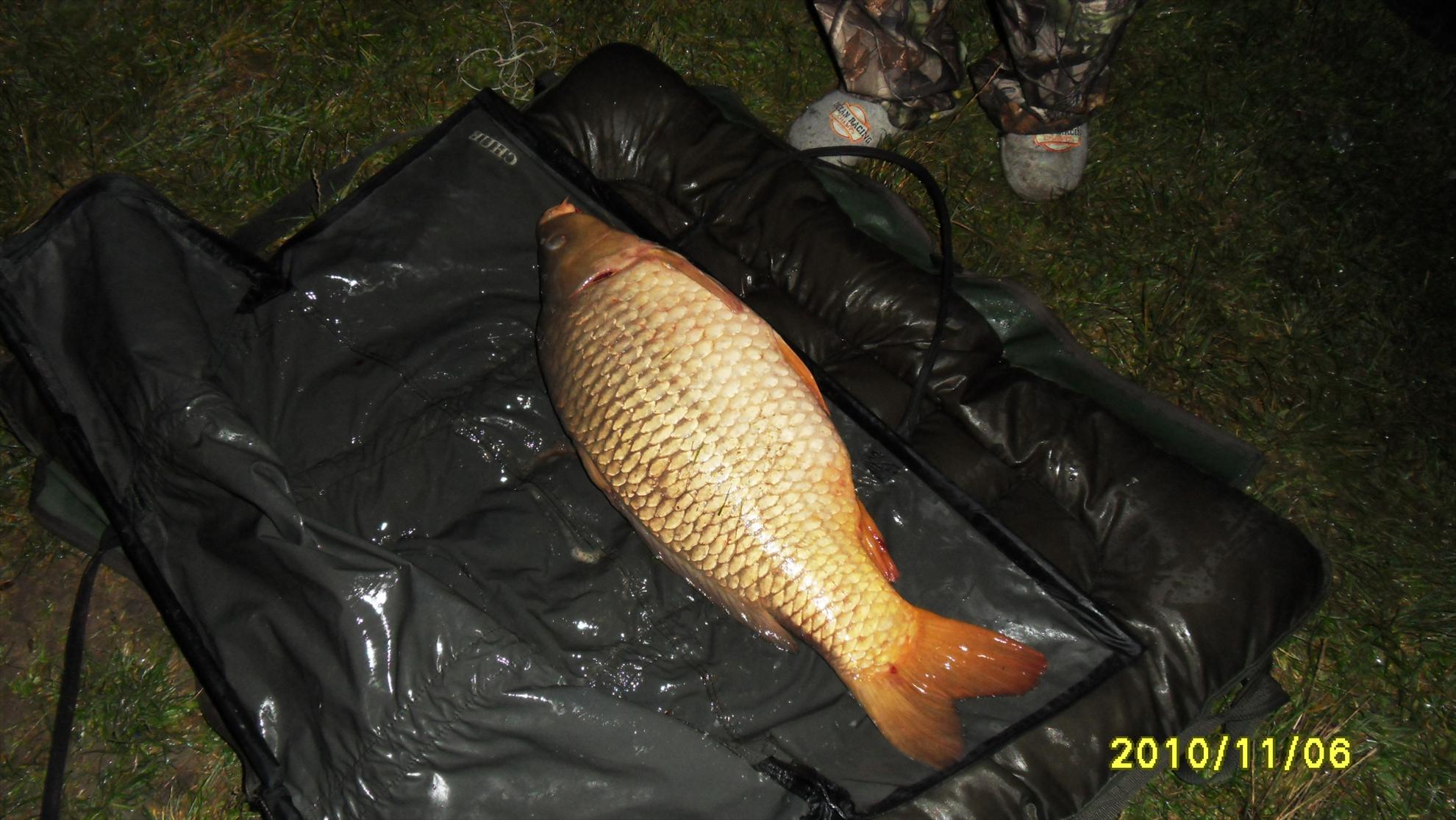 Livada de Bihor 2010 - livada-de-bihor-2010-035.JPG